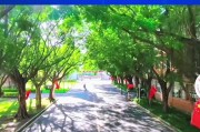 广东外语外贸大学高级翻译学院2025年6月公开招1名聘临时聘用工作人员的启事
