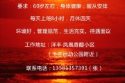 2025广州市天河区城市管理第二保洁所招聘编外人员3人公告