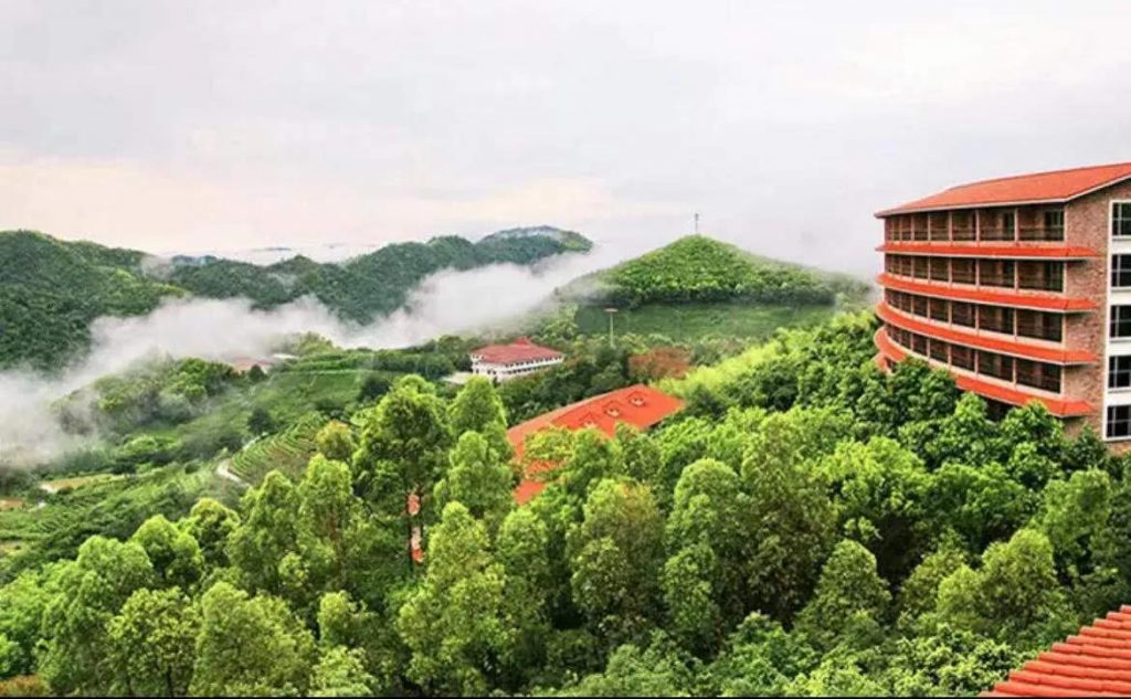 梅州旅游必去十大景点(梅州旅游景点大全介绍、排名) 梅州旅游必去十大景点(梅州旅游景点大全介绍、排名)