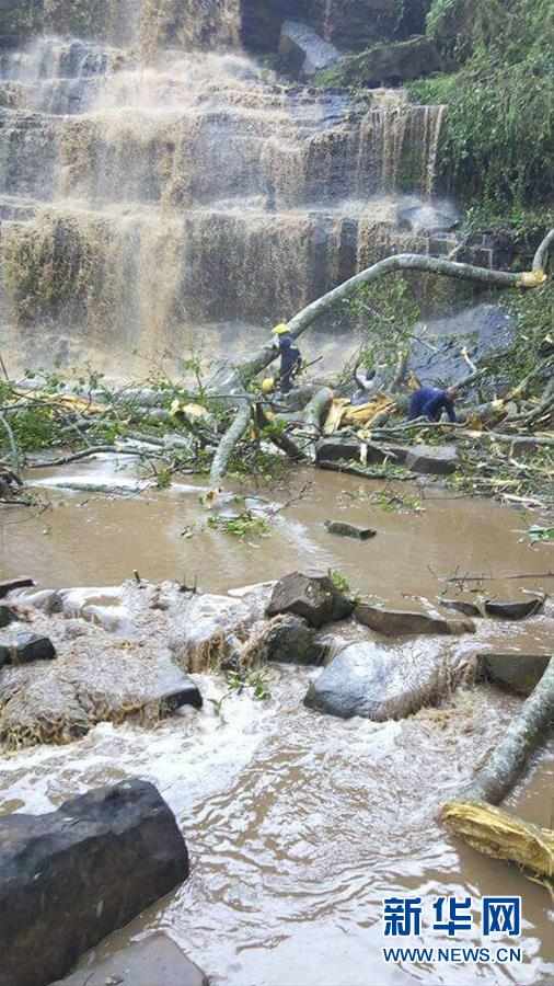 (国际)加纳一瀑布景区发生大树倒塌事故至少16人死亡