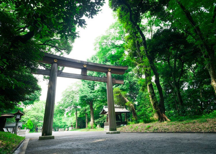 神社入口处的鸟居,是区分神界与人间的界线