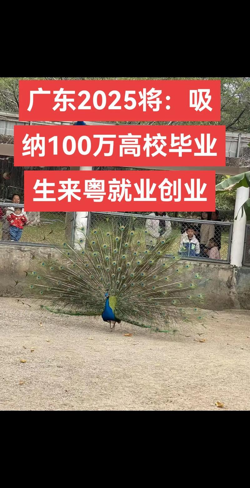 2025广州市海珠区六中珠江中学“百万英才汇南粤行动计划”招聘教师21人公告