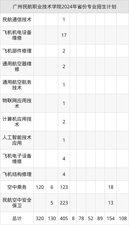 2025广东广州民航职业技术学院第一批招聘教职工拟聘用人员公示（二）