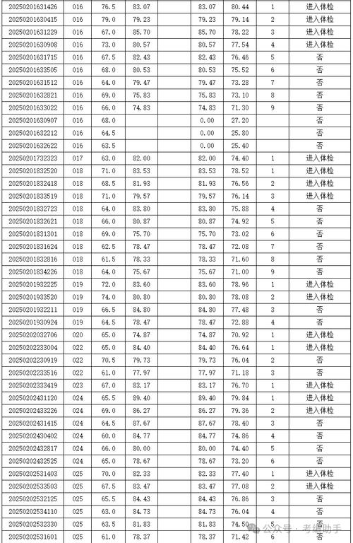 2025广东广州市天河区枫叶幼儿园编外教辅人员面试成绩及体检名单公示