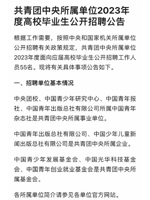 广东省共青团广州市白云区委员会2025年第一次政府雇员招聘公告