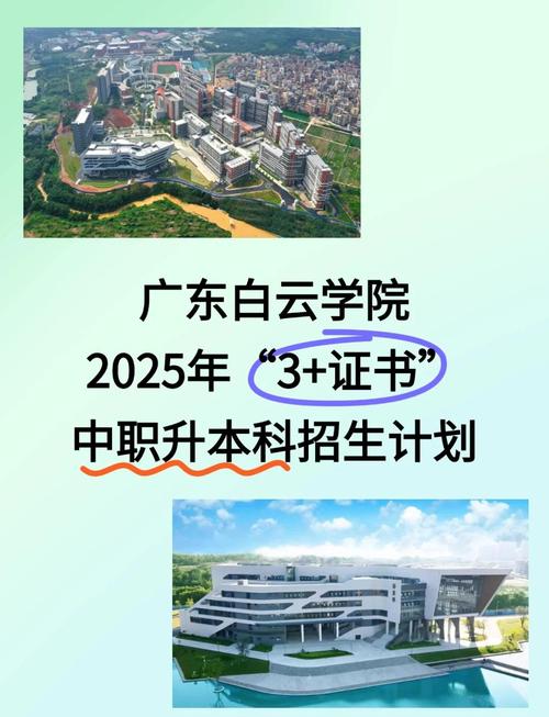 2025广东白云学院副校长招聘公告
