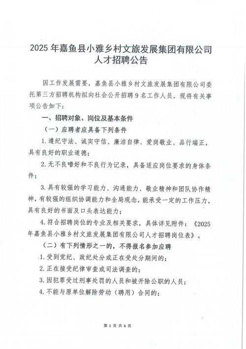 2025广东广州市榄核咨询服务有限公司招聘2人公告